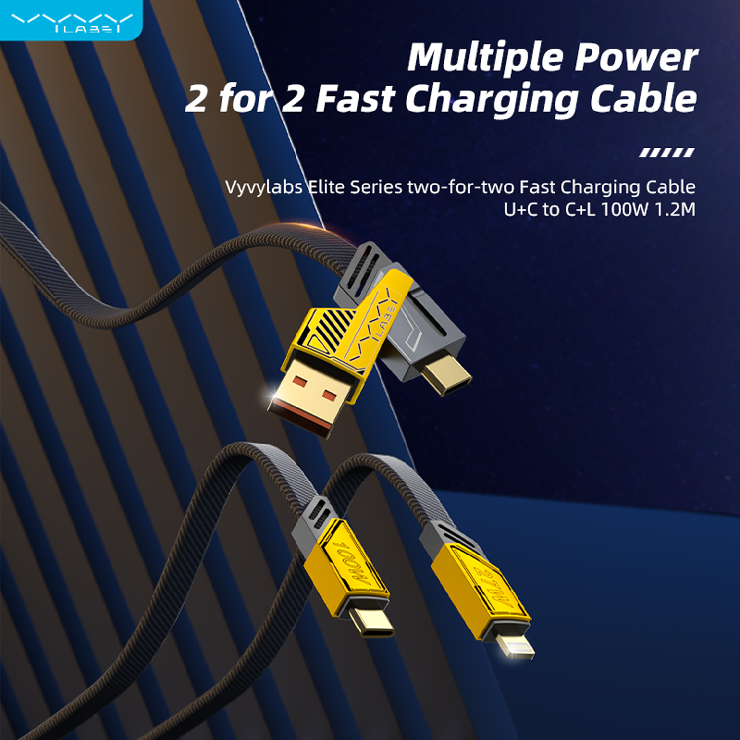 Vyvylabs Elite Series two-for-two Fast Charging Cable U+C to C+L 100W 1.2M