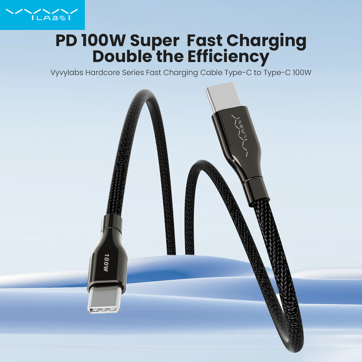 Vyvylabs Hardcore Series Fast Charging Cable Type-C to Type-C 100W 