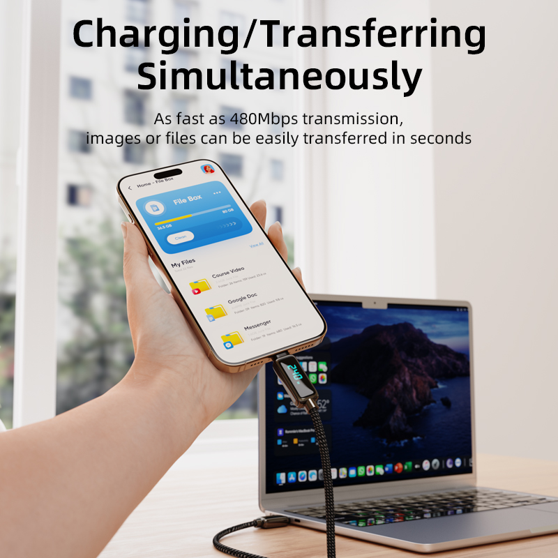 Vyvylabs ThunderBird Smart Charge 240W Display Cable Type-C to Type-C