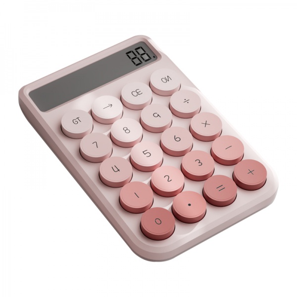 Vyvylabs 10-Digit Electronic Calculator Pink