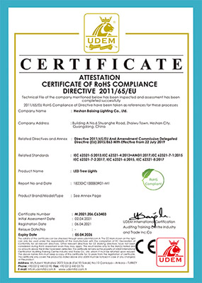 ROHS CERTIFICATE