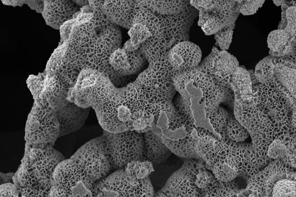 “绣球花”催化电极研究成果登上《NATURE》，铁镍羟基电极催化能力惊人！