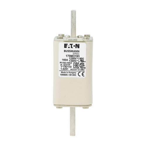 170M3193 Fuses 