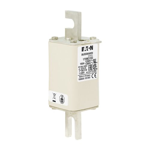 170M3193 Fuses 