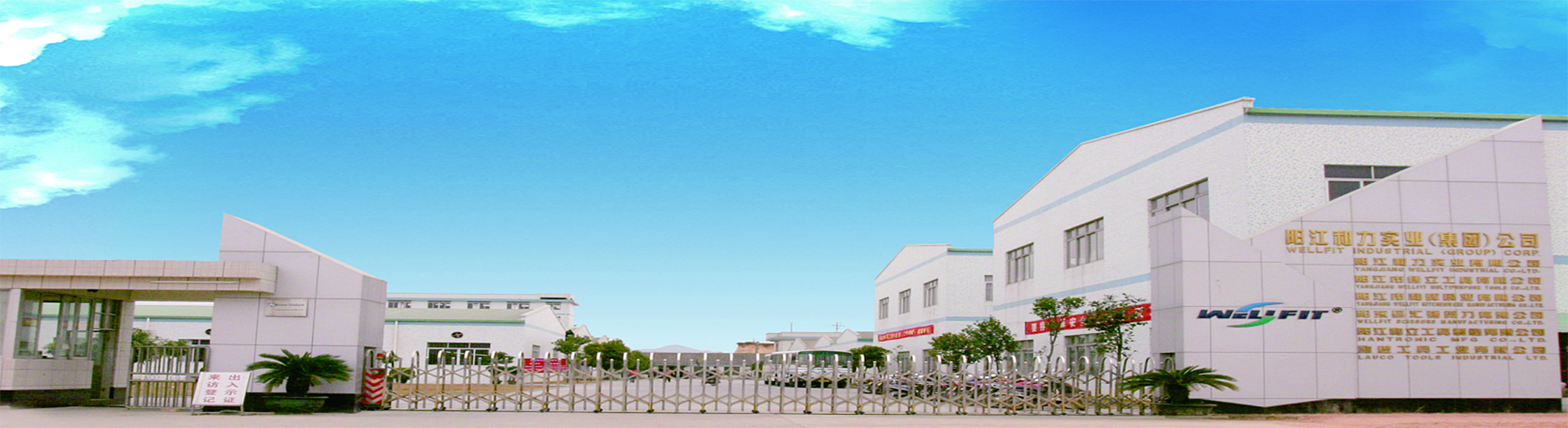 图片展示