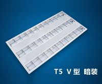 BT5-039 T5-V-3 28