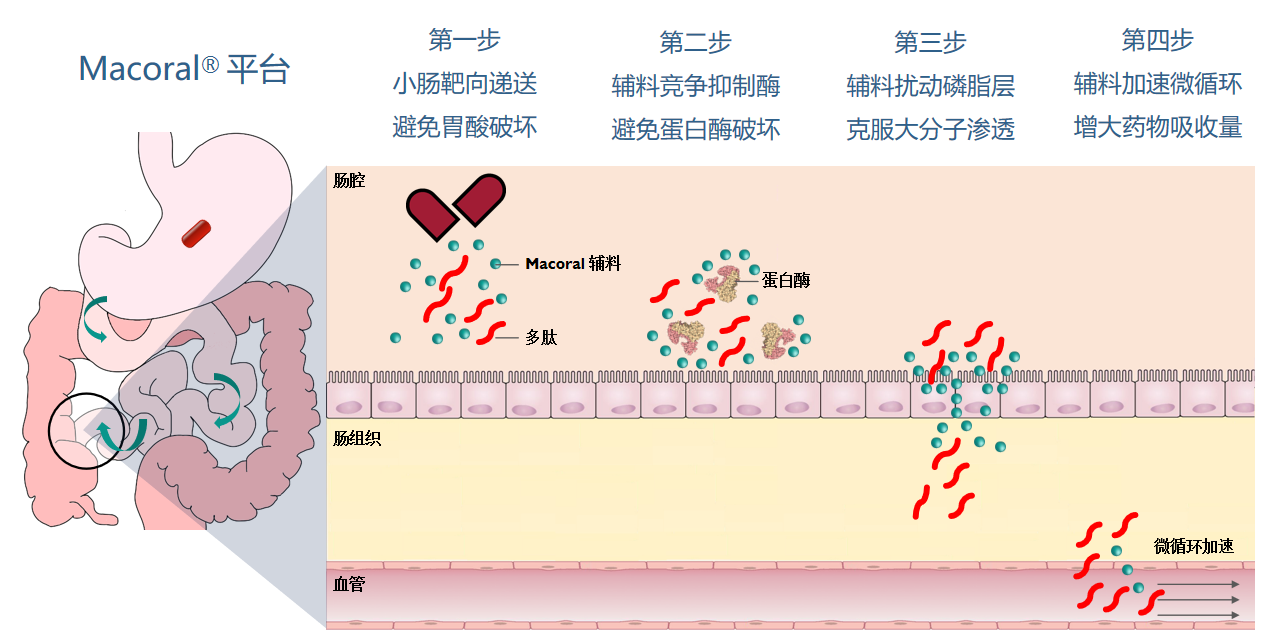 Macoral®技术平台
