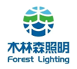 木林森照明