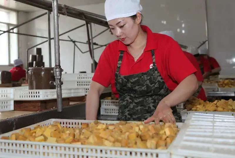 【省五一劳动奖状】克东腐乳有限公司事迹