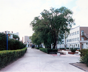 企业风采