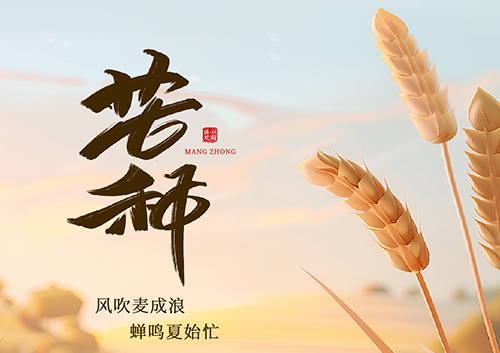 芒种不“忙”？智慧灌溉让你轻松应对农时！