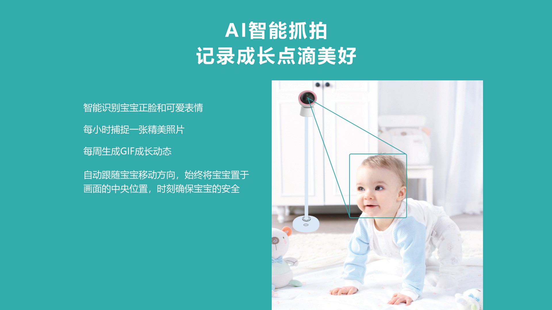 图片展示