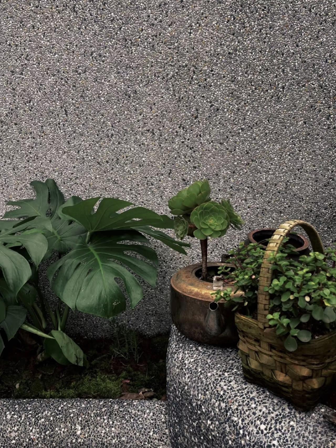 水洗石