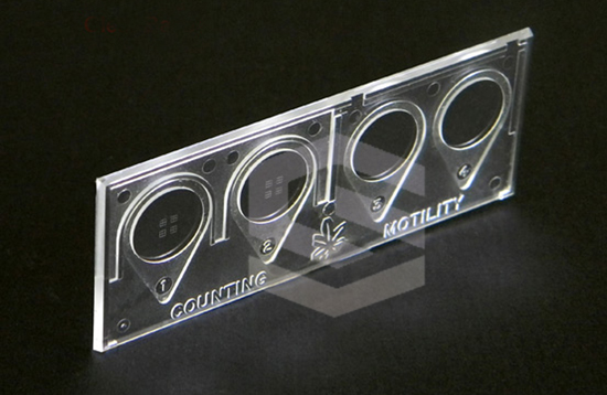 PMMA molding part