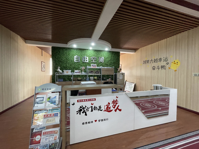 11自由区域