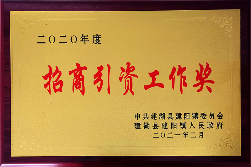 2020年度招商引资工作奖