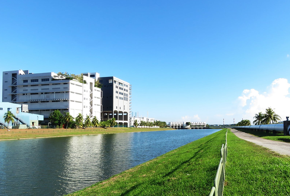 图片展示