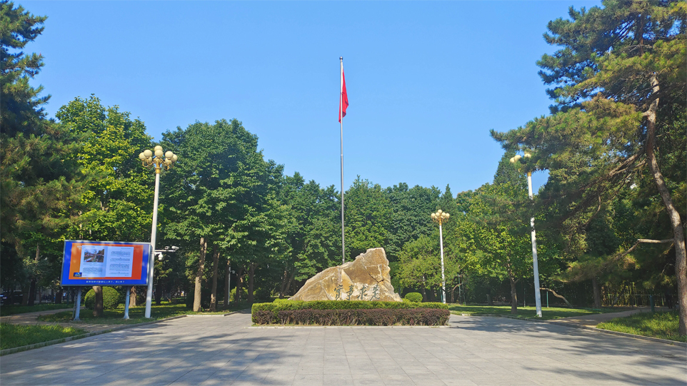 图片展示