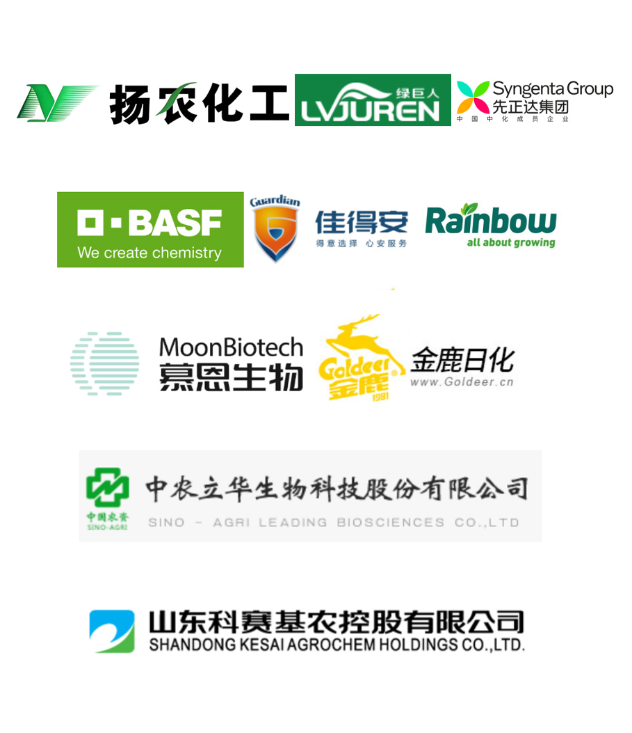 图片展示