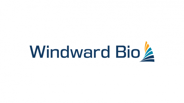 Windward