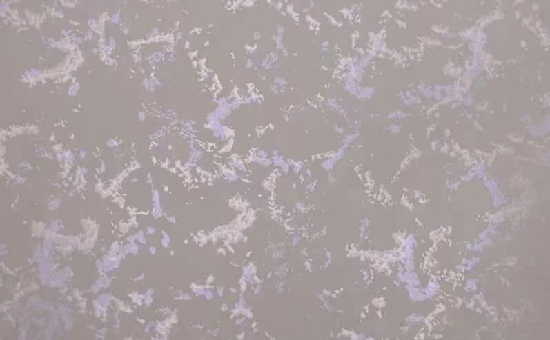 Illusion Purple
