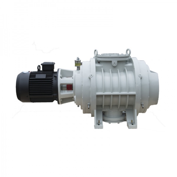 ZJP-A型罗茨真空泵