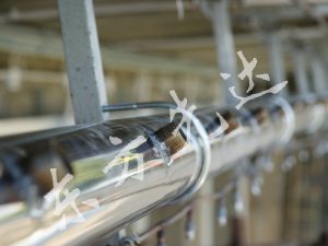 德隆桥喷雾安装