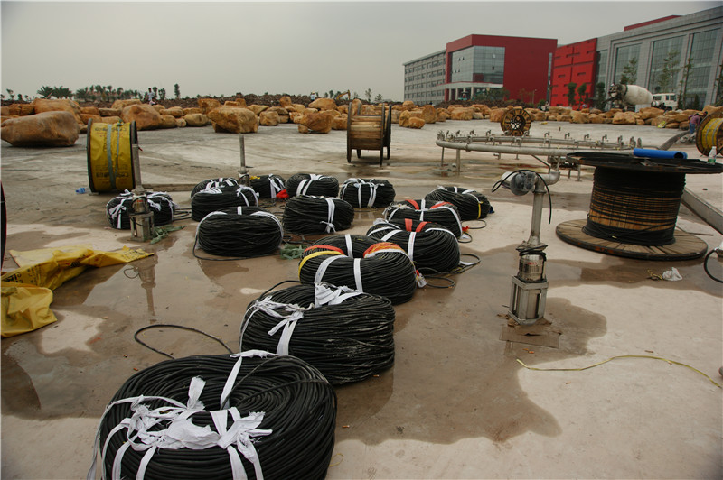 必中三码不收费电缆