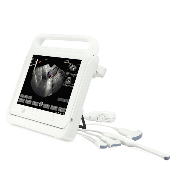 PT50C Vet Touch Color Doppler Ultrasound Scanner System