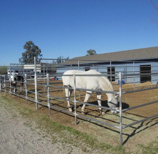 animal farm fence