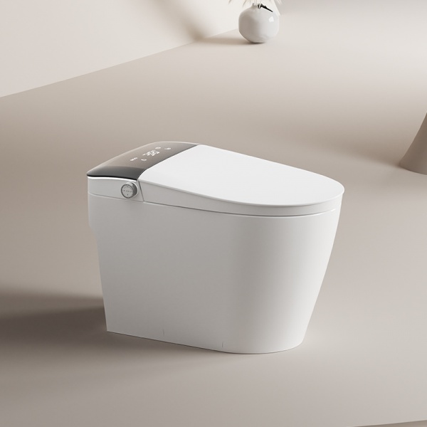 W003 Smart toilet