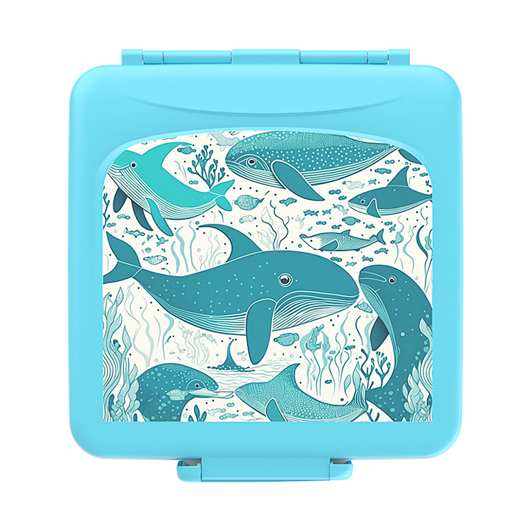 Bento Box BPA Free, 5 Compartments