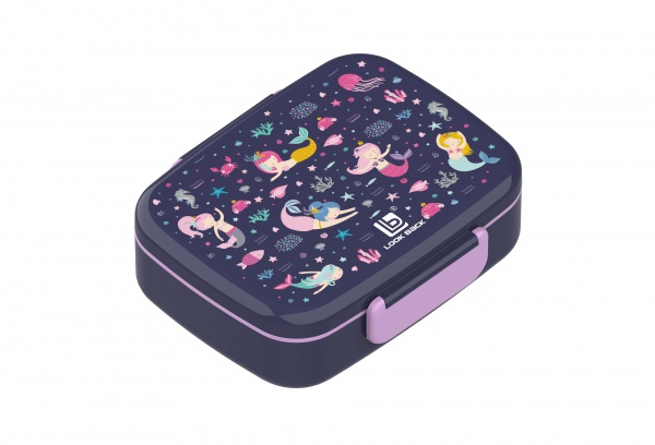 Double Buckle Bento