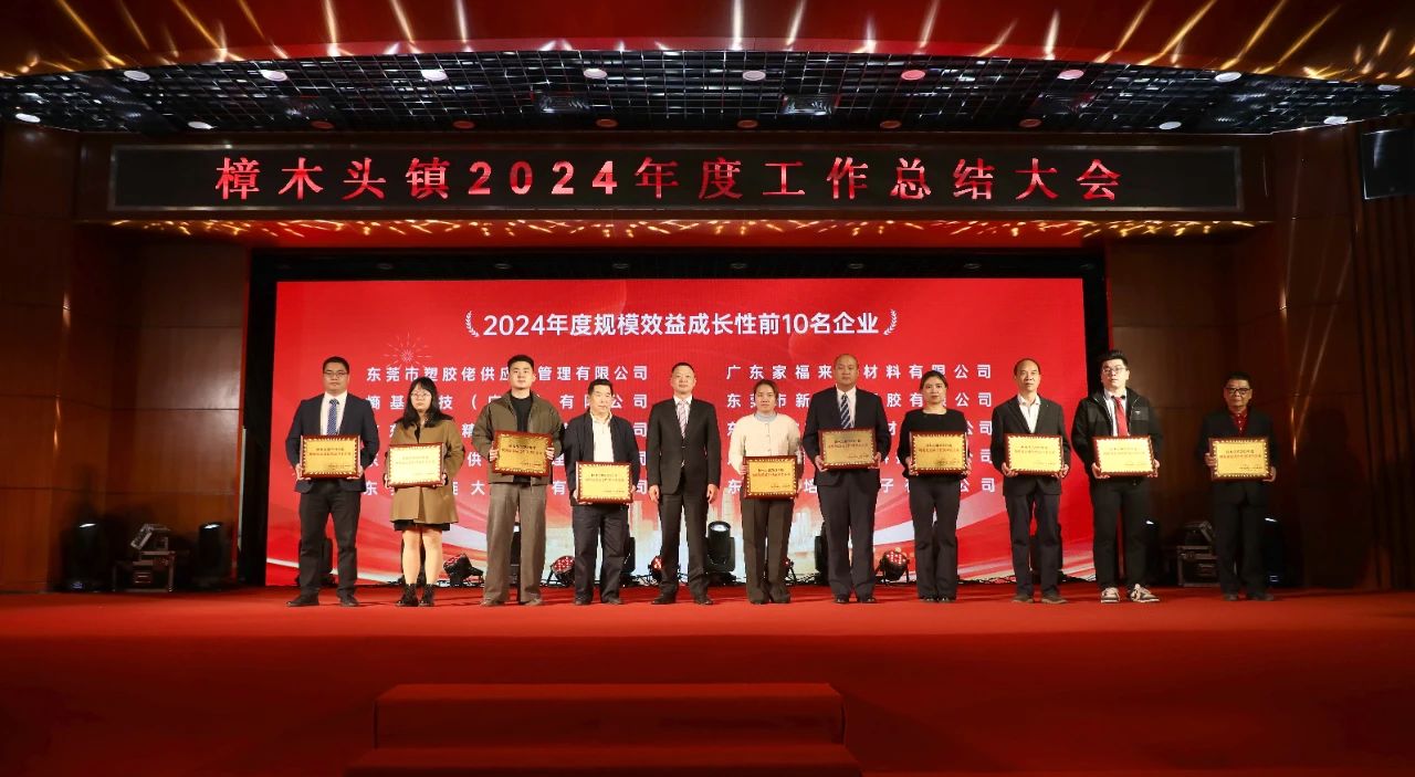 培尔电子喜获樟木头“2024年规模效应成长性前10名企业”