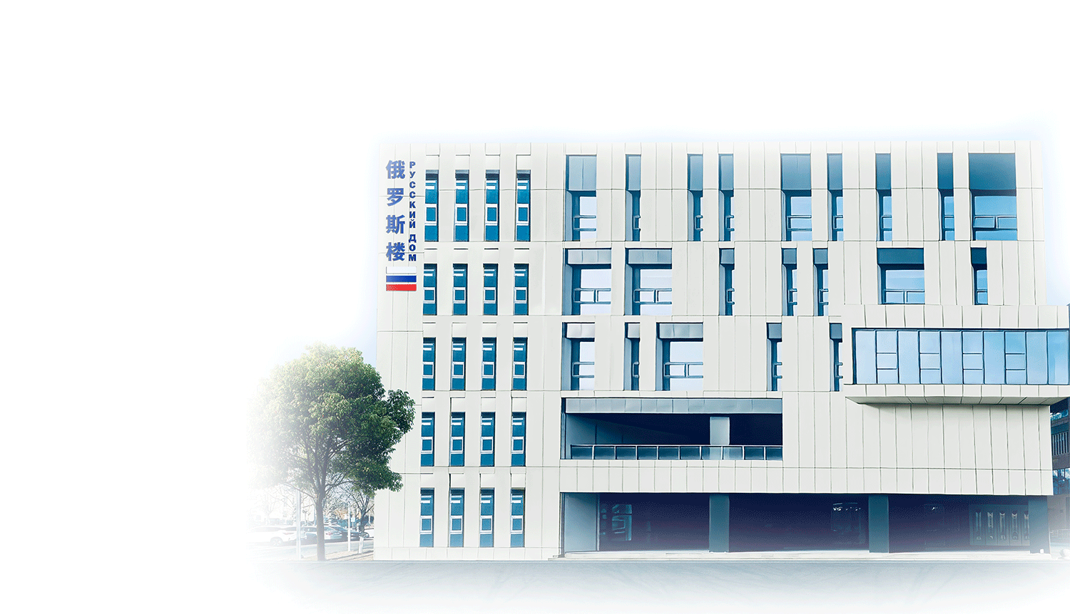 图片展示