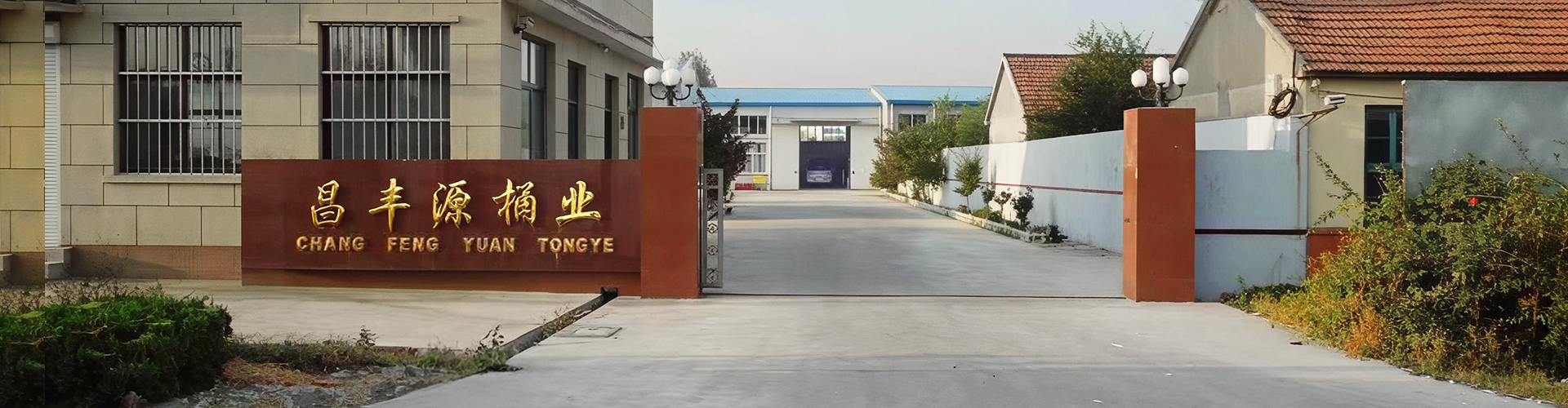 图片展示