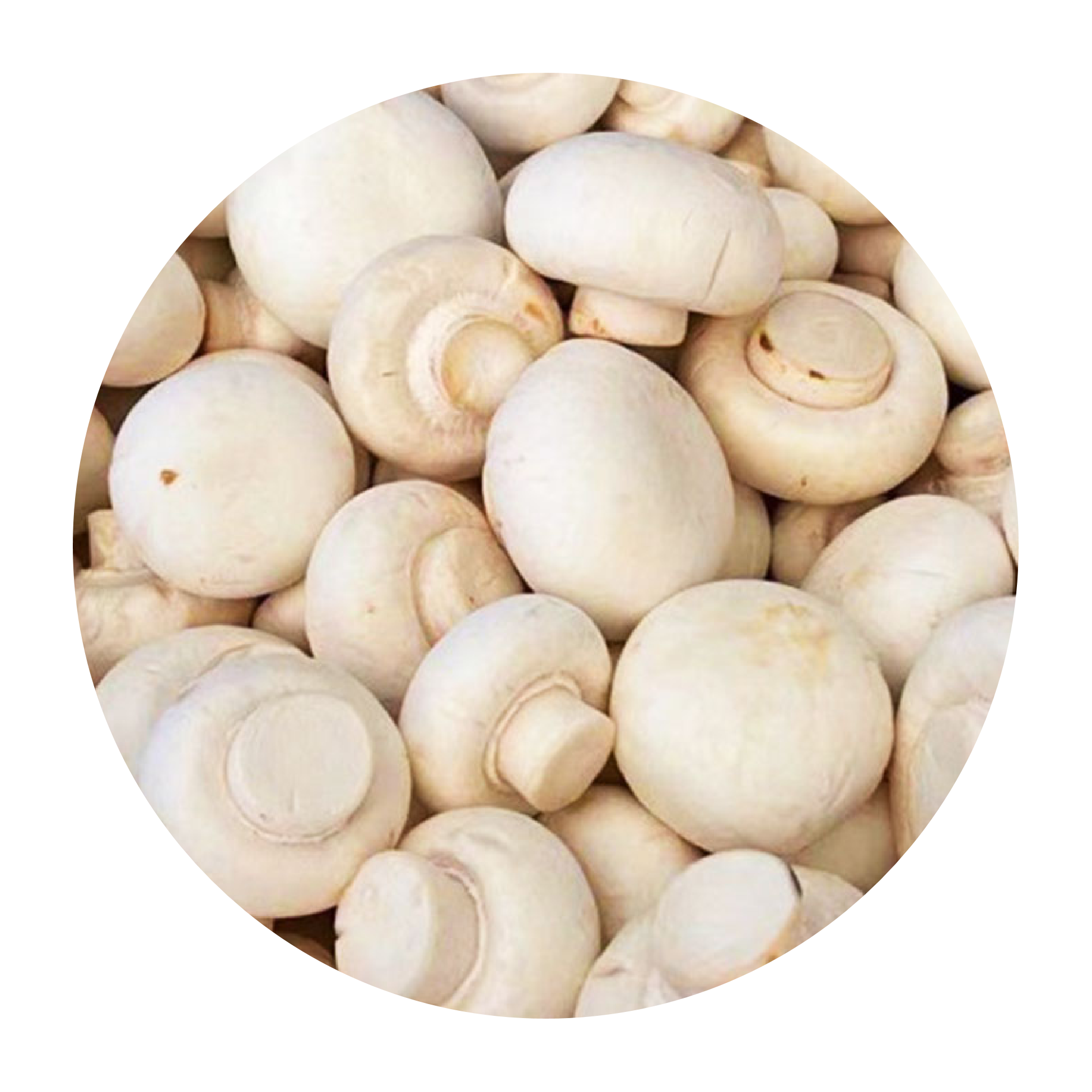 IQF Frozen Agaricus Bisporus