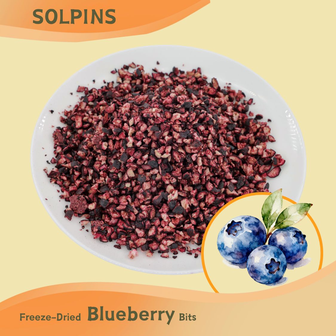 Freeze-Dried Blueberry Cubes