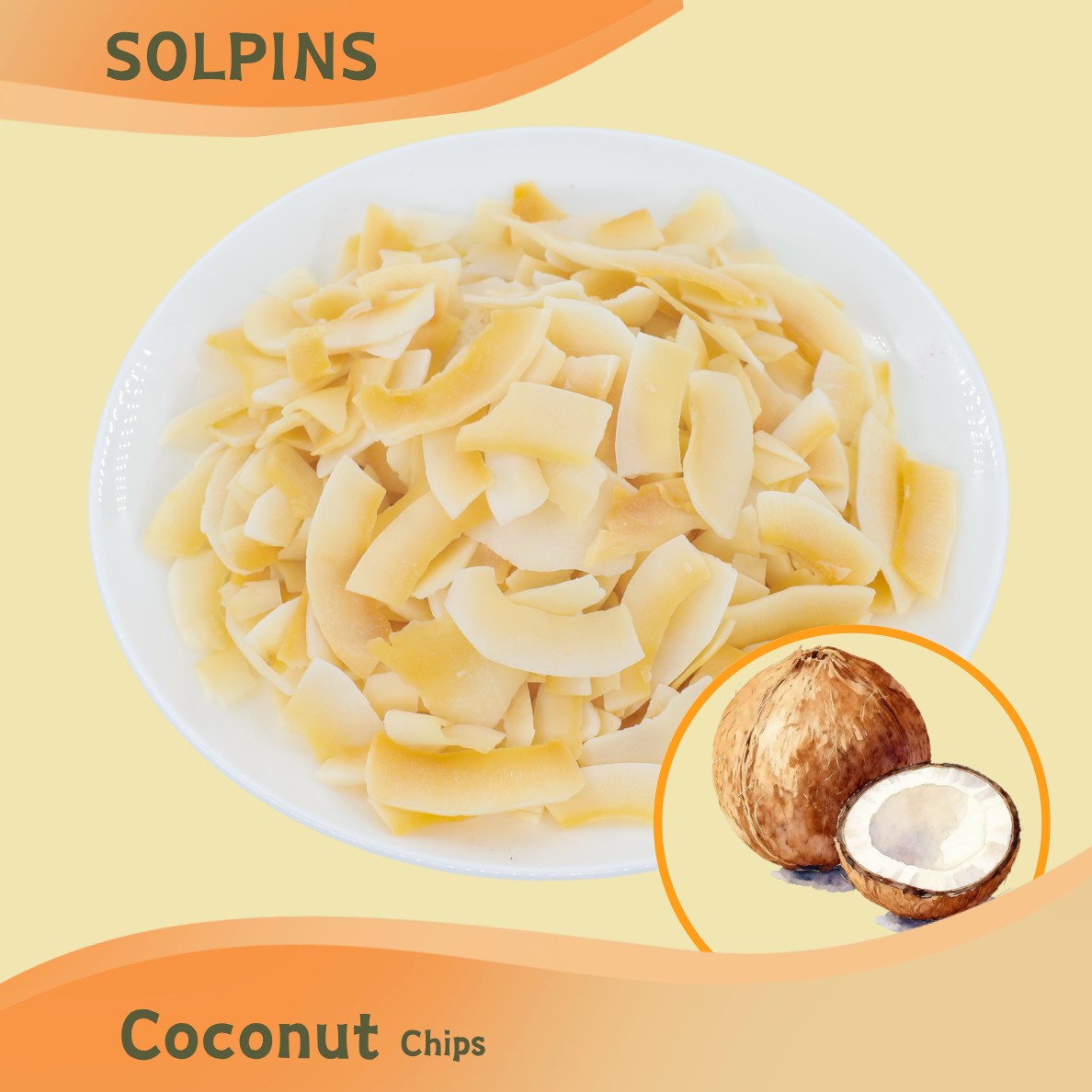 Coconut Chips