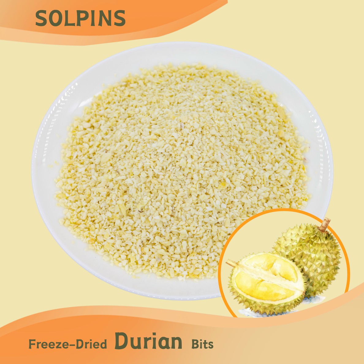 Freeze-Dried Durian Bits