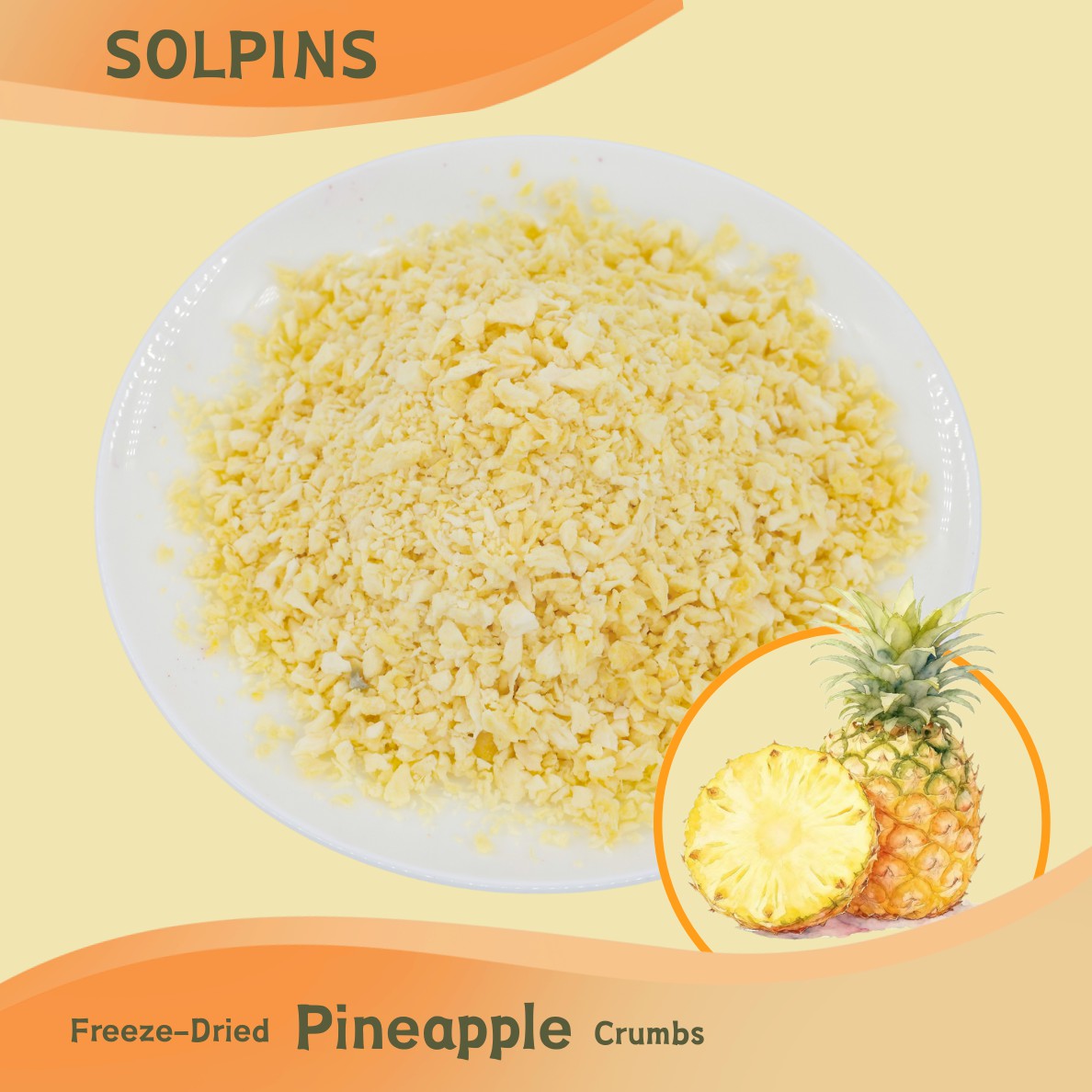 Freeze-Dried Pineapple Cubes