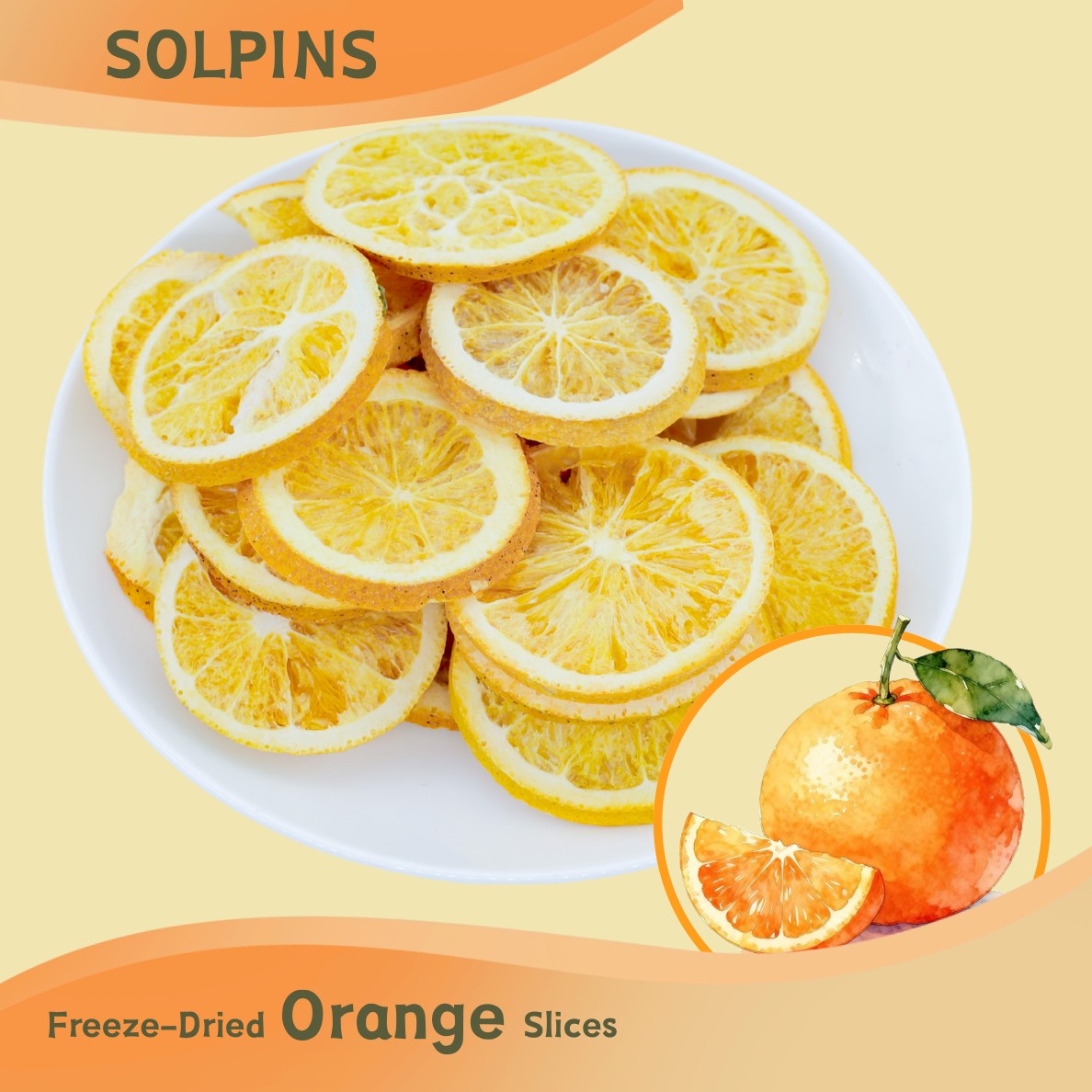 Freeze-Dried Orange Slices