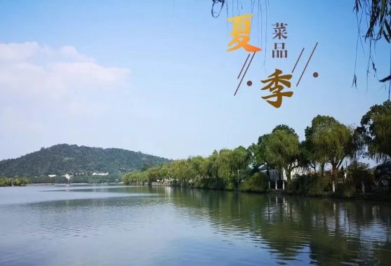 夏季菜品系列推荐