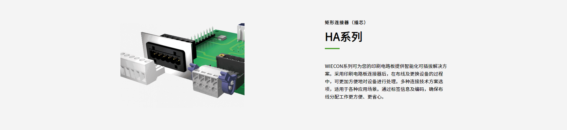 图片展示