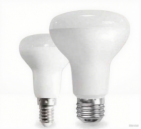 LED Par Light
