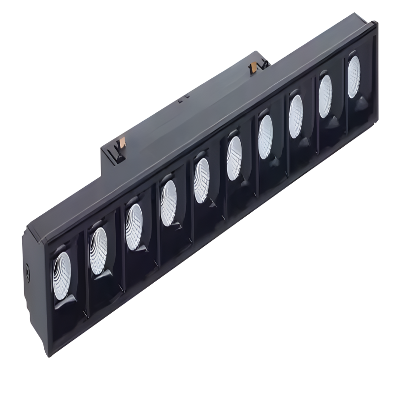 Magnetic Light