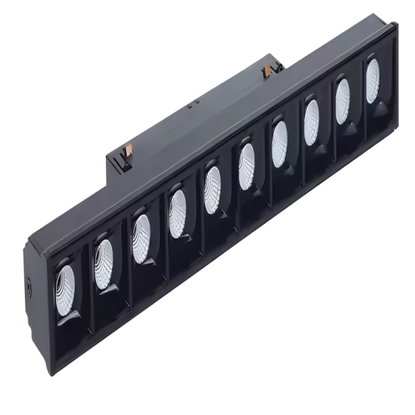 Magnetic Light