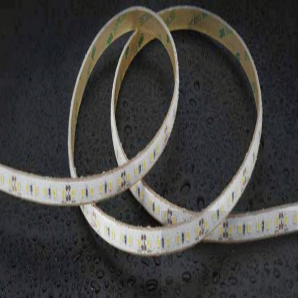 SMD2835 LED Strip-single Colar