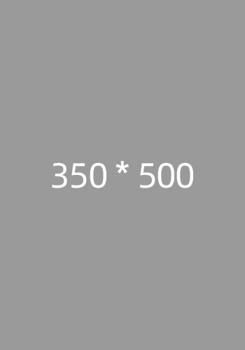 350*500-示例图