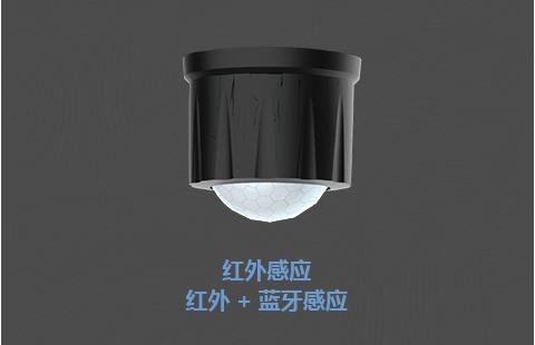 图片展示